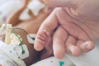 Preemie holding dads finger