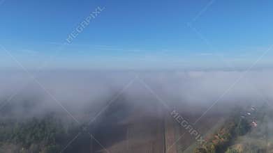Autumn October morning, foggy, cool, changing colors forest, natural landscape, fields, meadows.