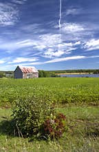 Abandoned barn, New Brunswick, Canada