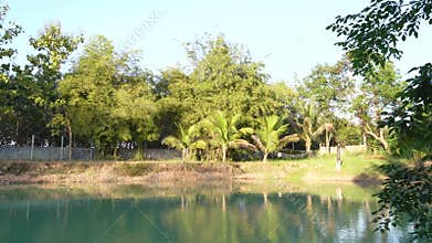 Digging a fish pond in the garden.