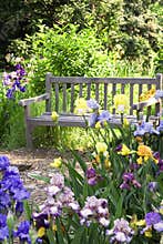 Garden Bench