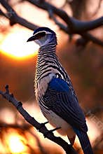 Avian Elegance. Bird perched on a branch against the setting sun