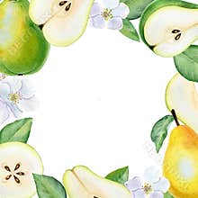 Frame with watercolor pears on a white background. Hand watercolor