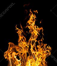 Fire flames on black