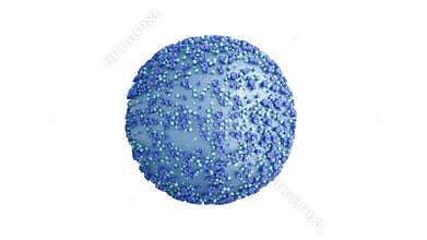 3D animation of the Nipah virus or NiV