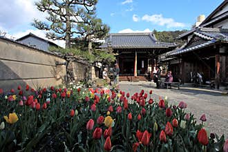 Philosopher's Walk, Kyoto