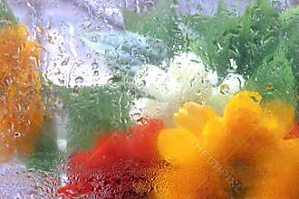 Colorful abstract impressions. Uplifiting floral rainy textures.