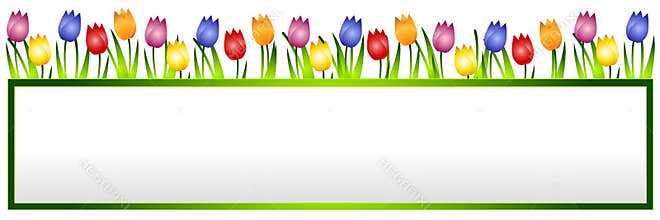 Spring Tulips Flower Banner or Logo