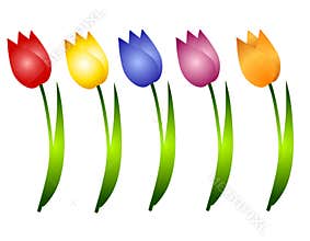Assorted Spring Tulips Flowers Clip Art