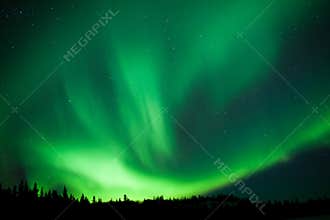 Boreal forest taiga Northern Lights substorm swirl