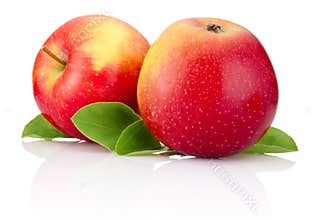 Two red apples fruits and green leaves isolated
