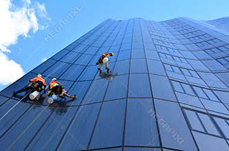 Window cleaners