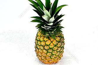 Appetizing pineapple for healthy desserts and fruit salads