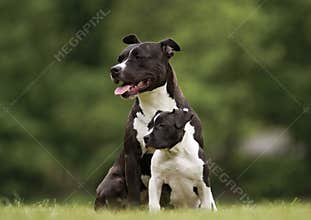 Mother and daughter