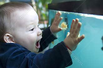 Boy and aquarium