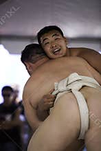 Sumo Wrestlers 24 xl