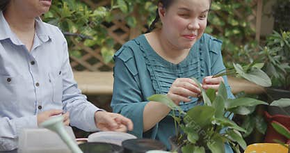 Person with blindness disability learning plants and gardening with the helping of her senior friend gardener