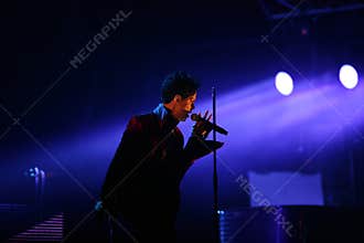 PRINCE IN CONCERT