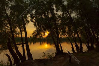 Sunrise over the lake with reflection of bare trees in the water.