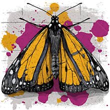 Butterfly typography with vibrant pastel brushstroke wings attached to the text creates an elegant modern graphic that