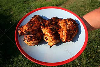 Grilled marinated chicken breast 4