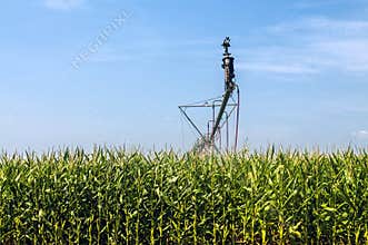 Crop irrigation system