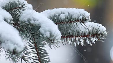 Details of actual snow falling at daytime in European city complicated life