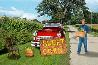 Sustainable Living, Nostalgic Farmer Selling Sweet Corn
