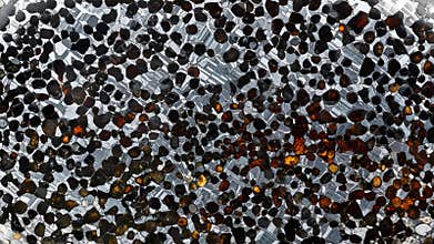 Close-up view of a polished meteorite slice revealing its intricate crystalline structure and metallic inclusions, a cosmic artifa