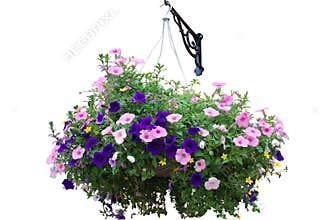 Flower basket