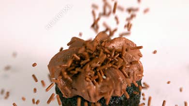 Chocolate sprinkles falling onto chocolate cupcake on white background