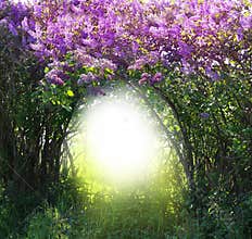 Magic spring forest landscape