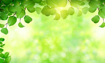 Summer background