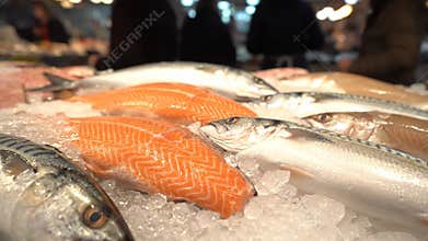 Close up shot of uncooked salmon fillets and whole mackerels arranged on a bed of ice at a bustling fish market, with individuals