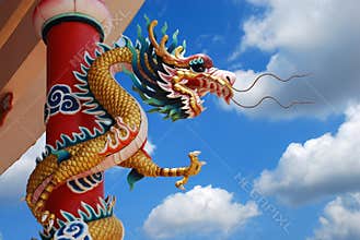 Chinese Dragon