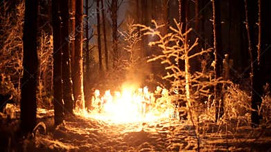 Young people in the winter forest. Sitting by the fire, adding fire accelerants and the bonfire explodes