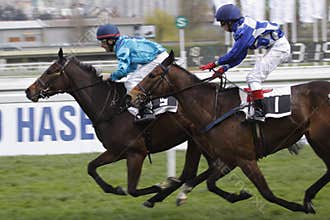 Finish of horse racing race in Grand prix FRBC