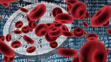 Red blood cells and white clock
