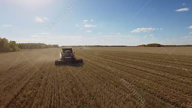 Beautiful harvest aerial view with harvester combine on wheat field