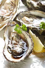 Opened oyster