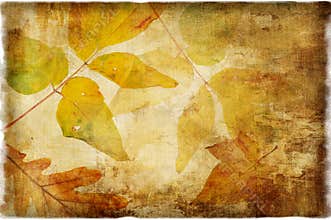Autumn background