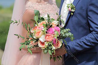 Bride holding a beautiful bridal bouquet. Wedding bouquet of peach roses by David Austin, single-head pink rose aqua, eucalyptus,