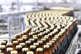 Beer filling in a brewery - conveyor belt with glass bottles
