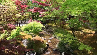 Zen garden Kyoto