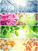 Four seasons. A pictures that shows four different pictures representing the four seasons