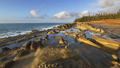 Shore Acres State Park