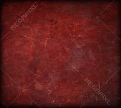 Rich Leather Book cover