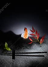 Sushi art