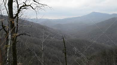 Landscape forest with the Russian Caucasus Mountains