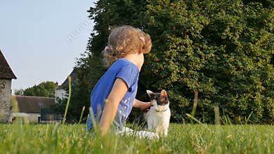 A curly little girl strokes a three-colored cat. Family day. Pets
